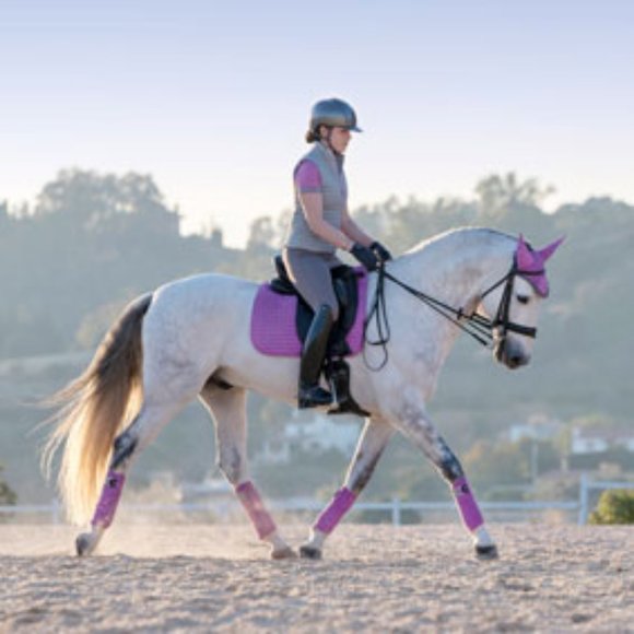Lemieux Other Lemieux Lavender Saddle Pad Ear Bonnet Polo Set Poshmark